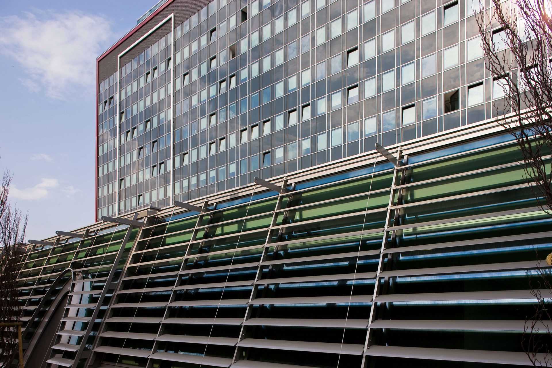 wkowien-110.jpg