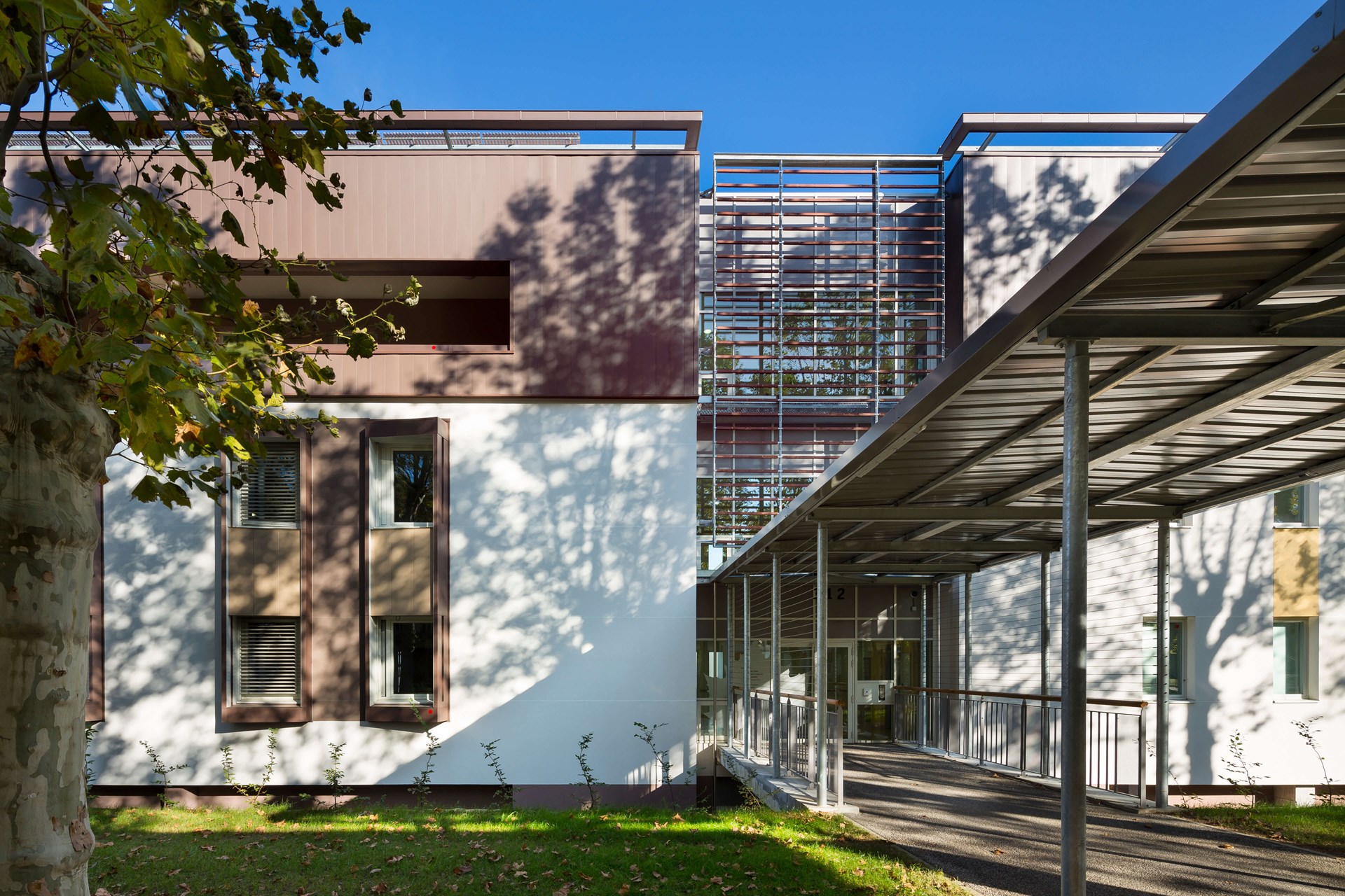 photo-sergio-grazia-MICHEL BEAUVAIS-hopital-lyon_IMP-17.jpg