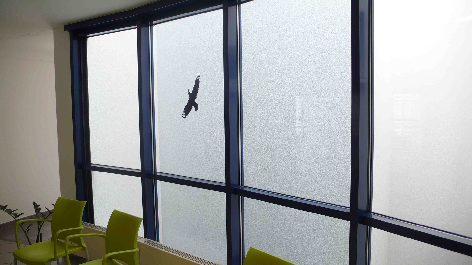 P1050562.jpg
