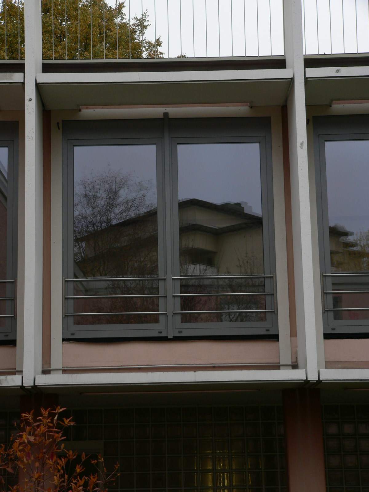 P1100651.JPG