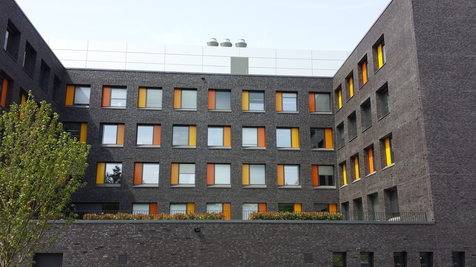 20140522_123516.jpg