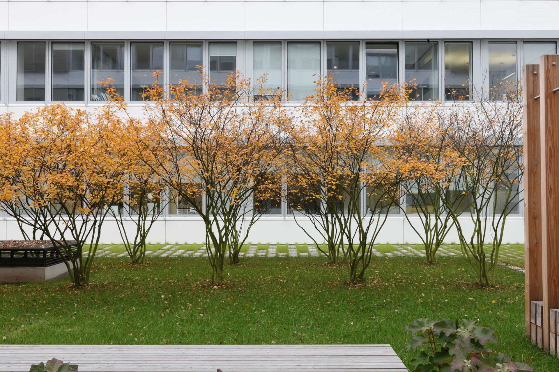 ENBW_0166.JPG