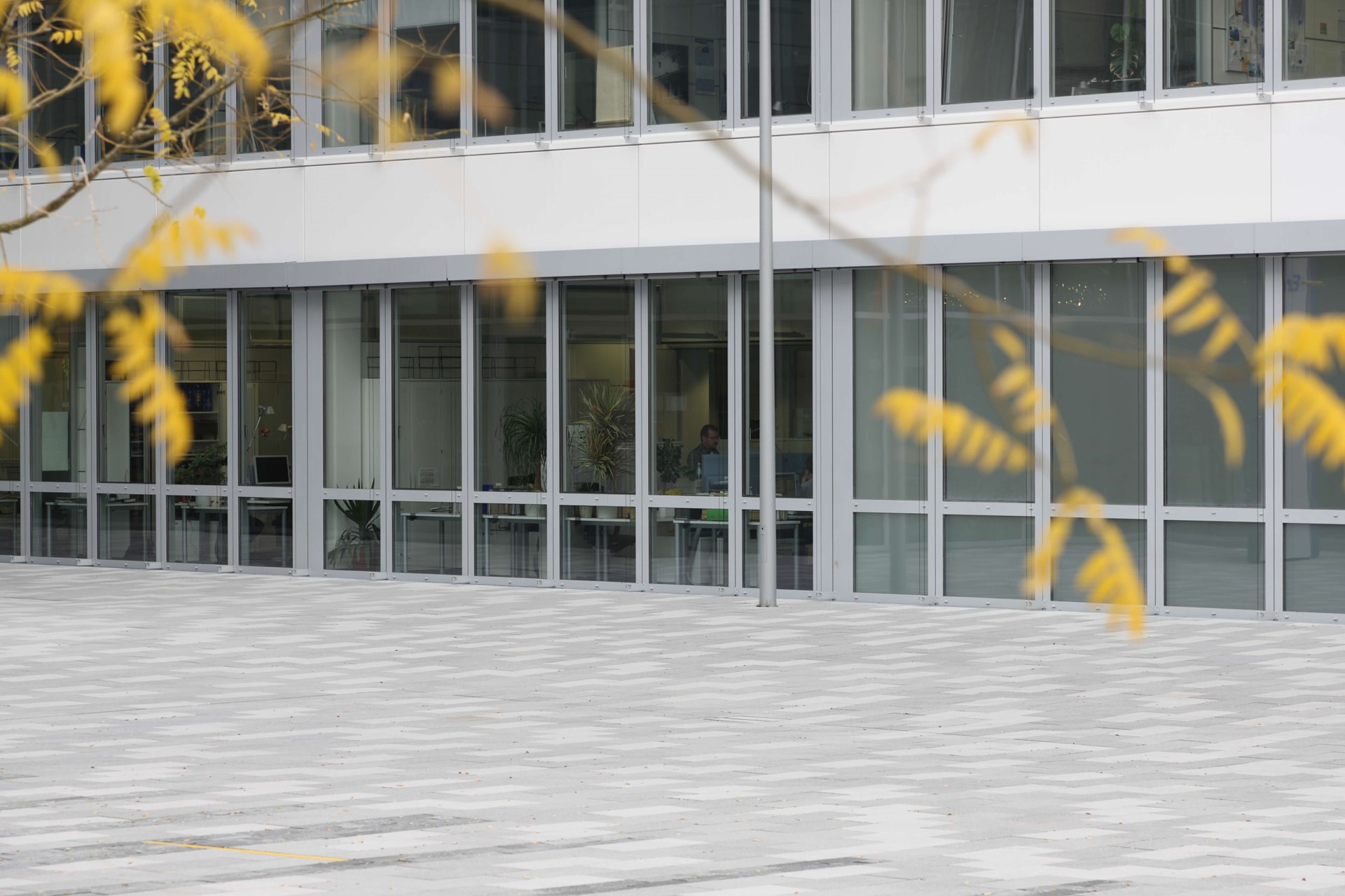 ENBW_0169.JPG