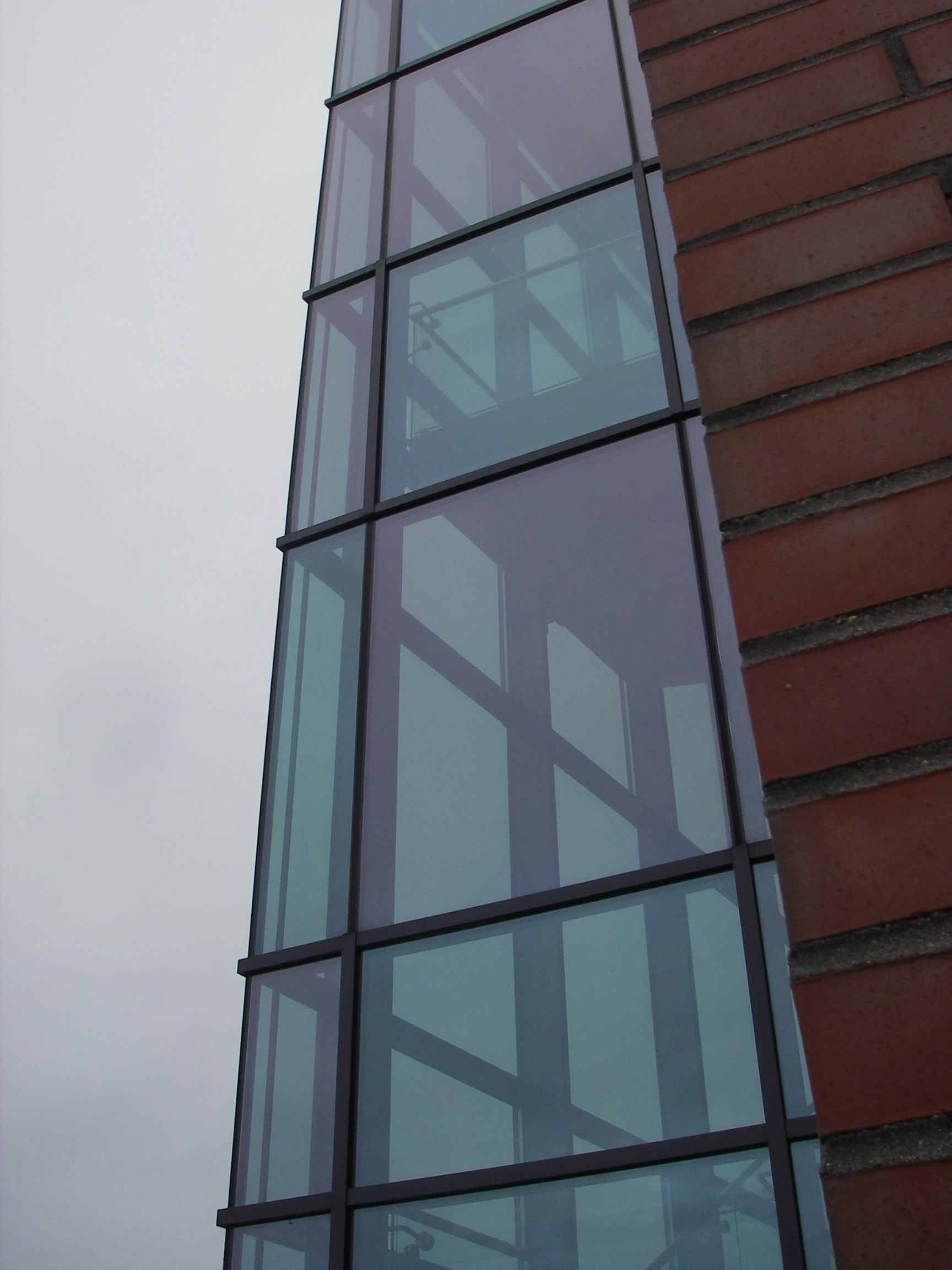 IMGP7144.JPG