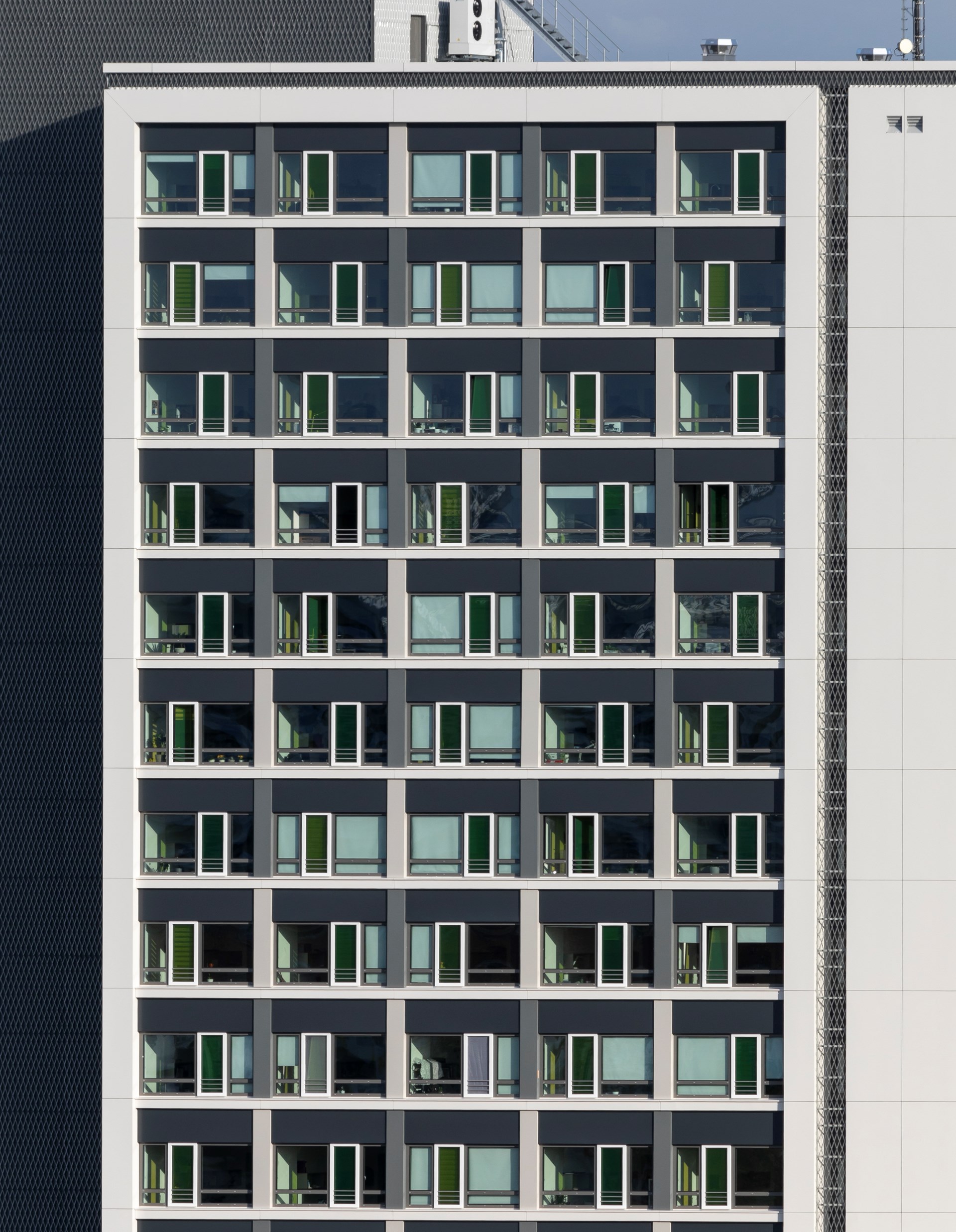 181019_sf_sw010.jpg