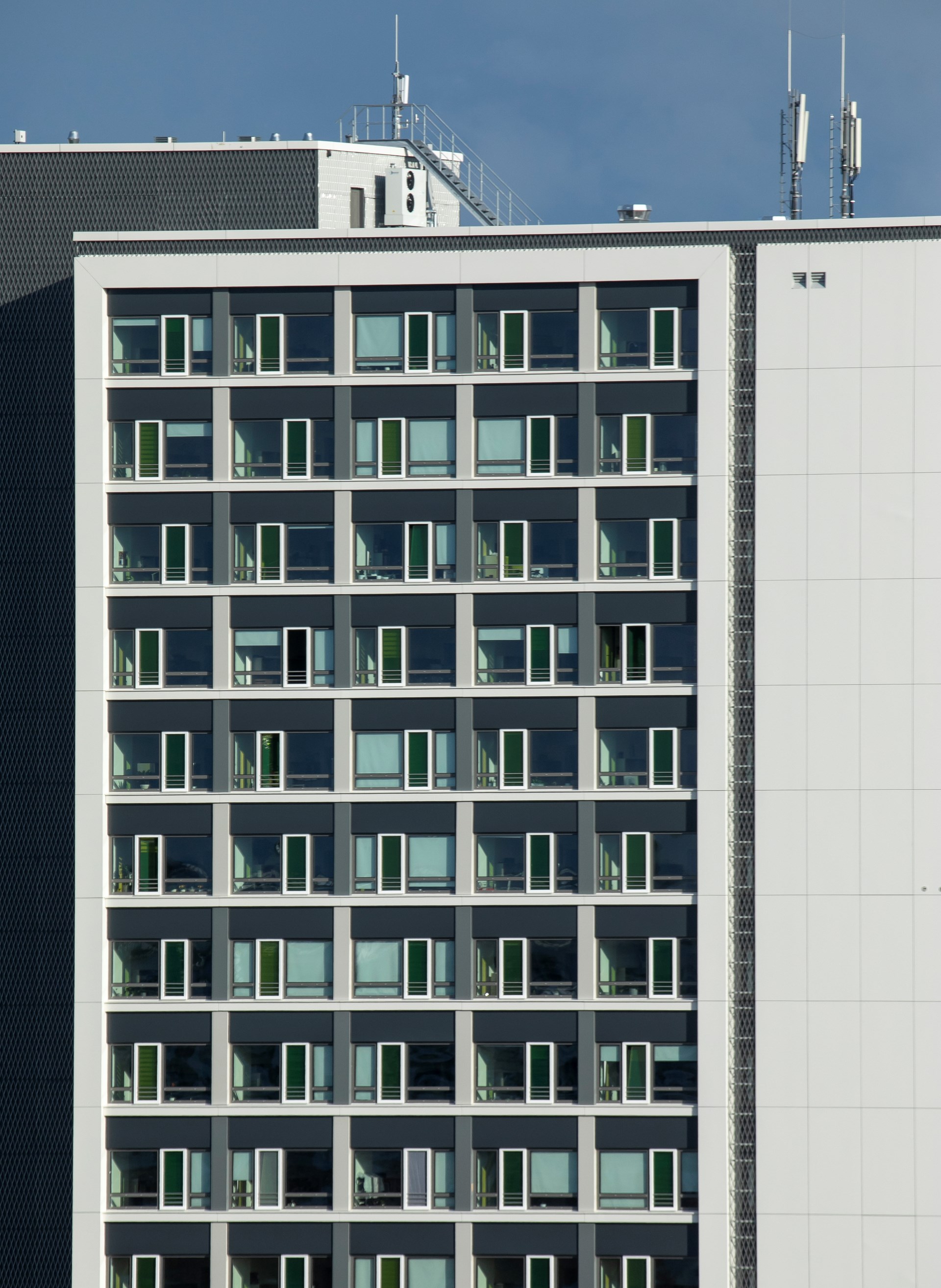 181019_sf_sw012.jpg