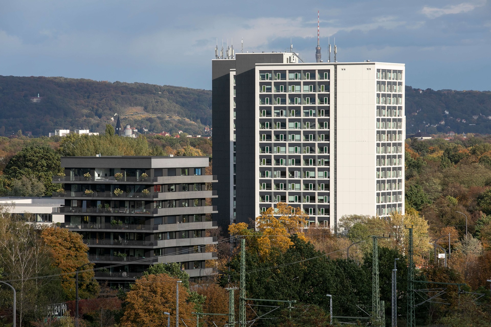 181019_sf_sw013.jpg