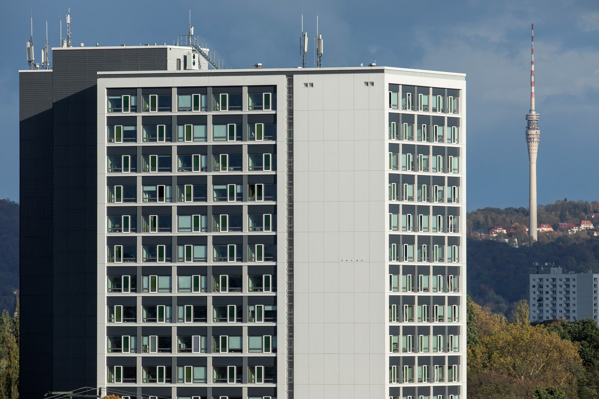 181019_sf_sw015.jpg
