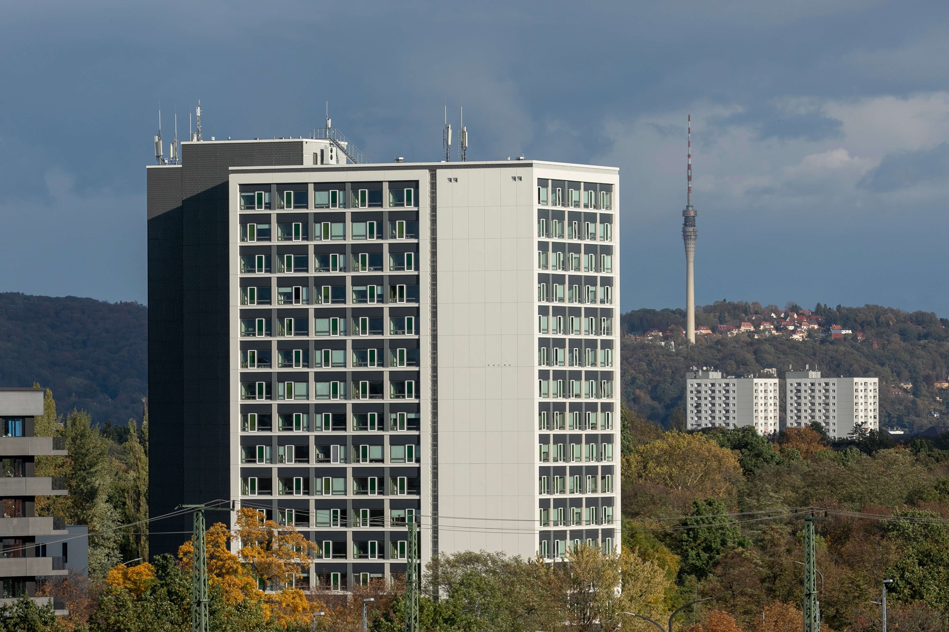 181019_sf_sw017.jpg