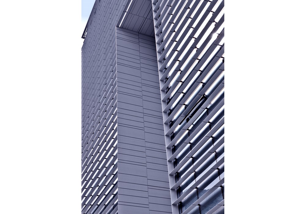 IMGL6975.jpg