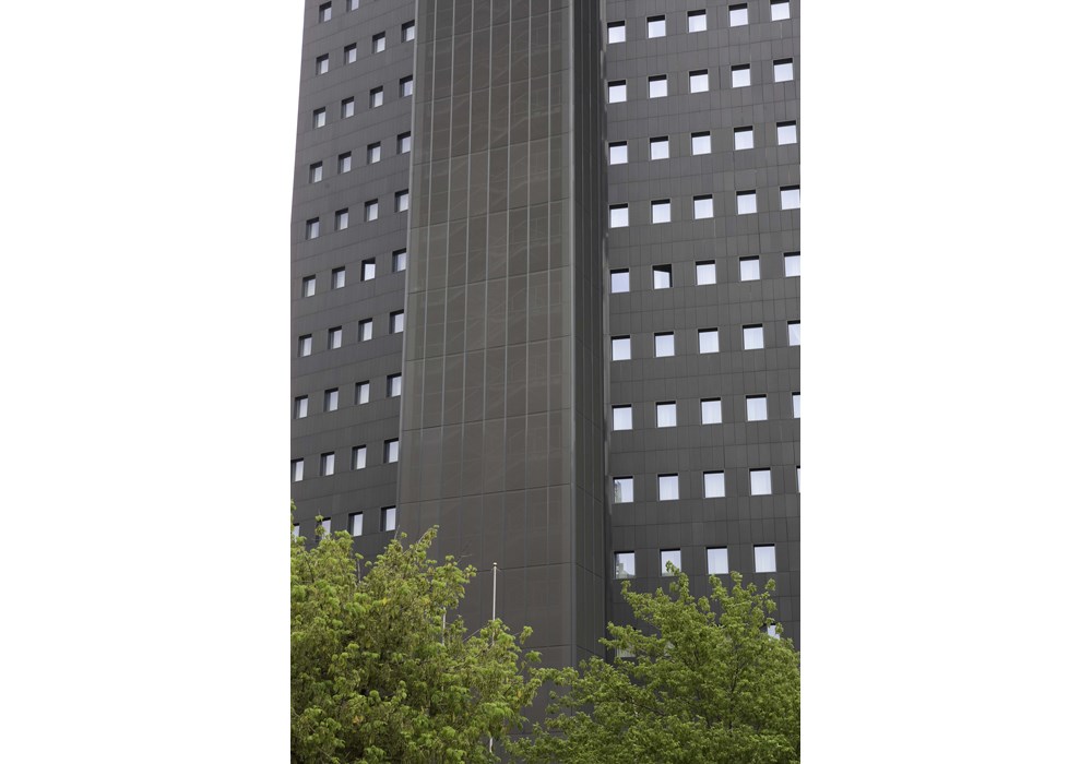 IMGL5298.jpg
