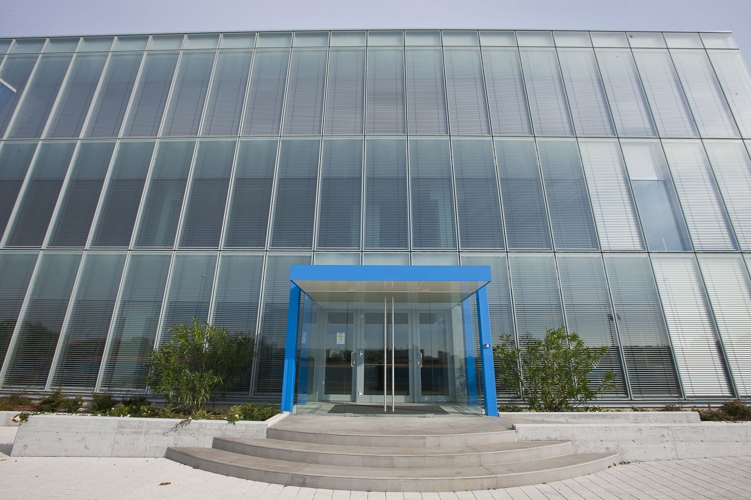 IMGL0876.jpg