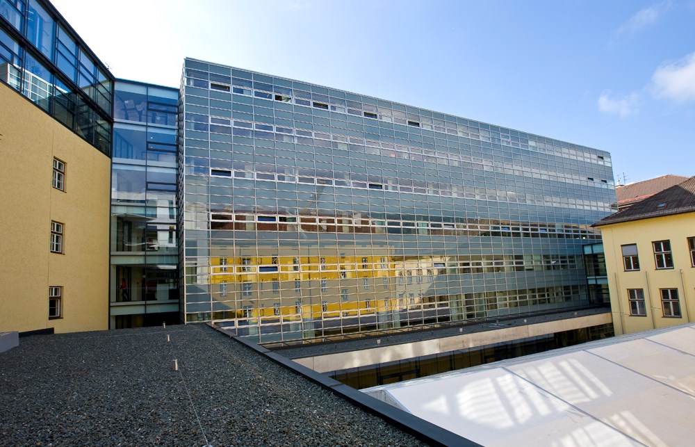 IMGL5136.jpg