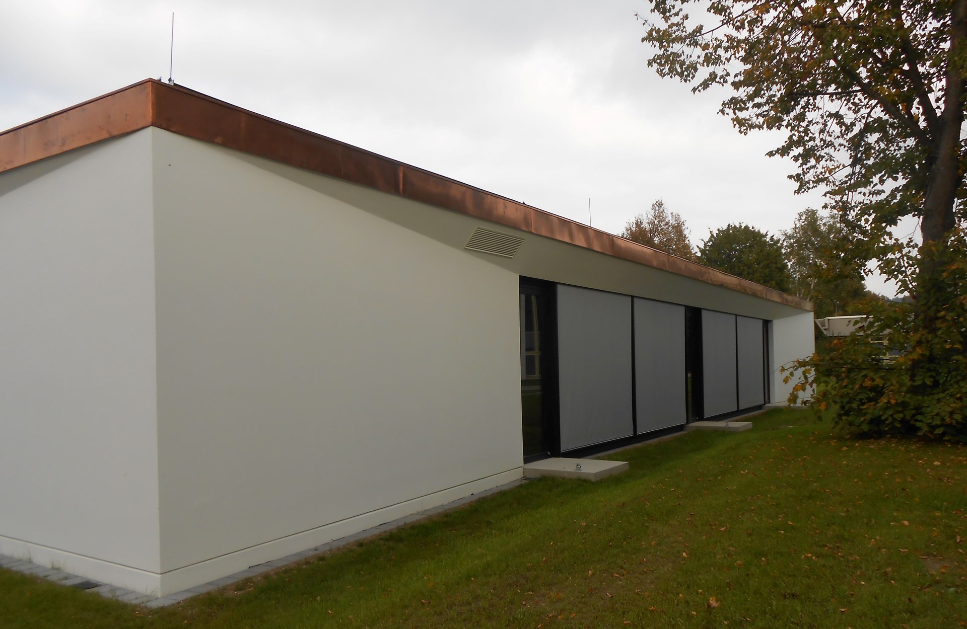 RS-Zus_04.jpg