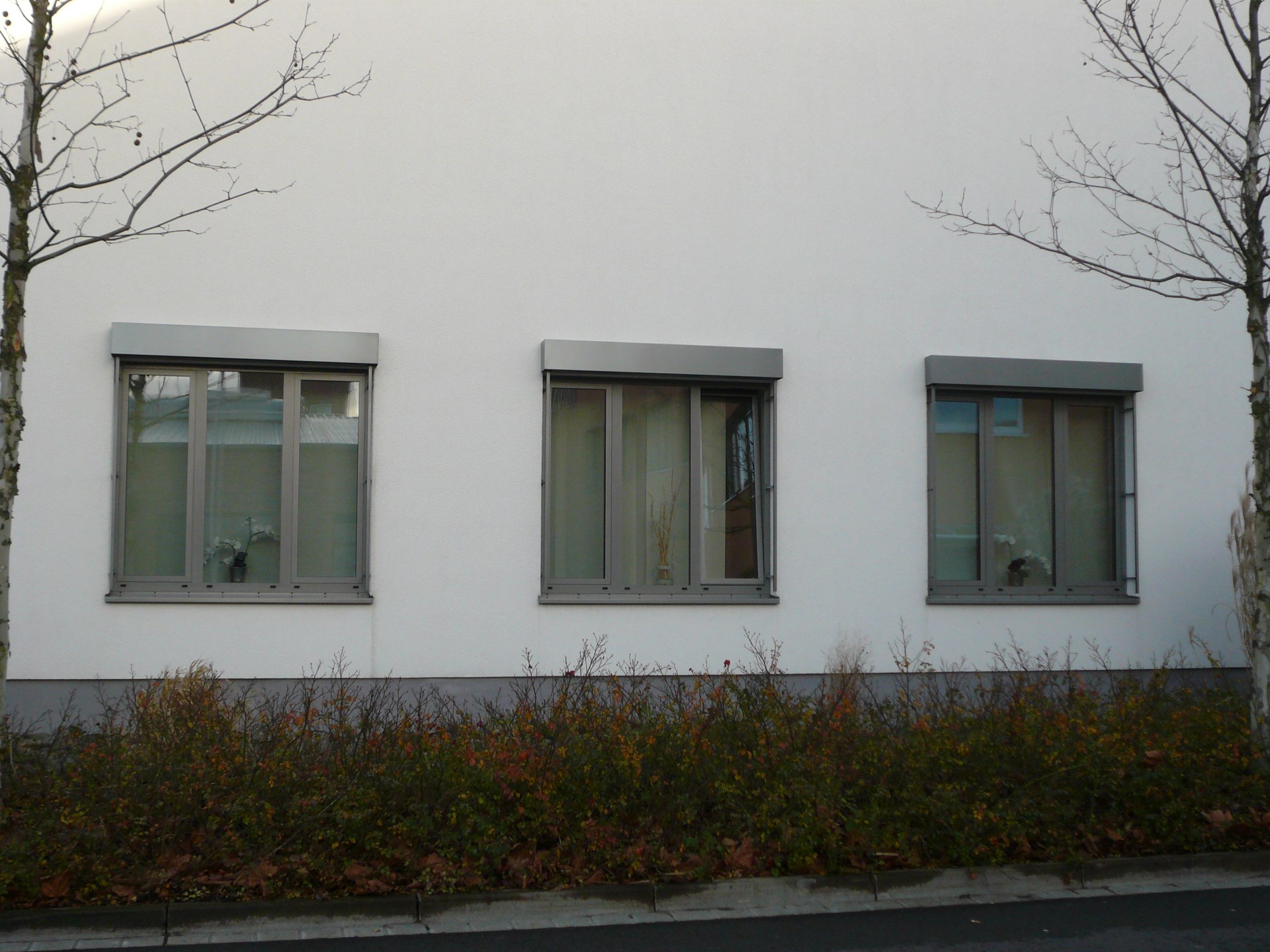 P1110937.JPG