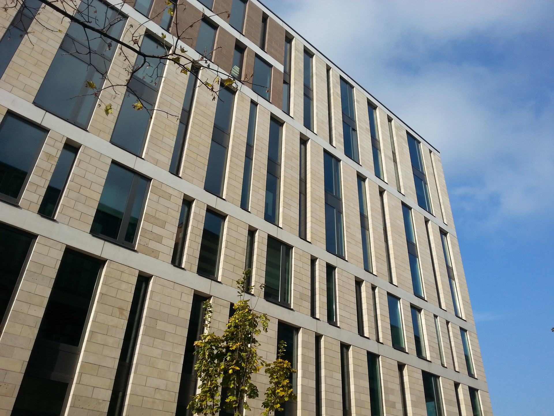 20131112_130612.jpg
