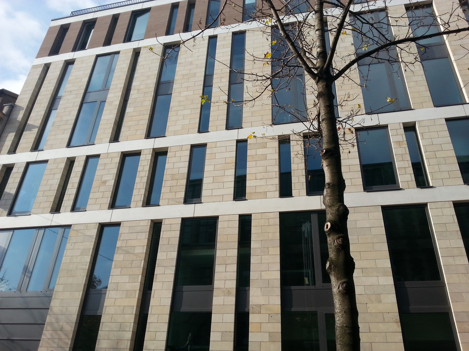 20131112_130623.jpg