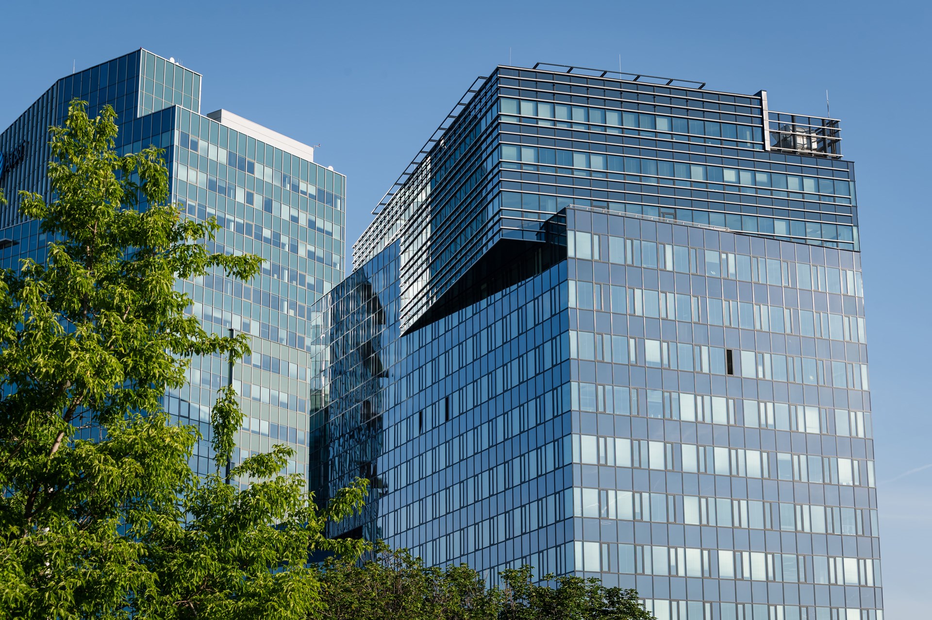 DSC_6069-min.jpg