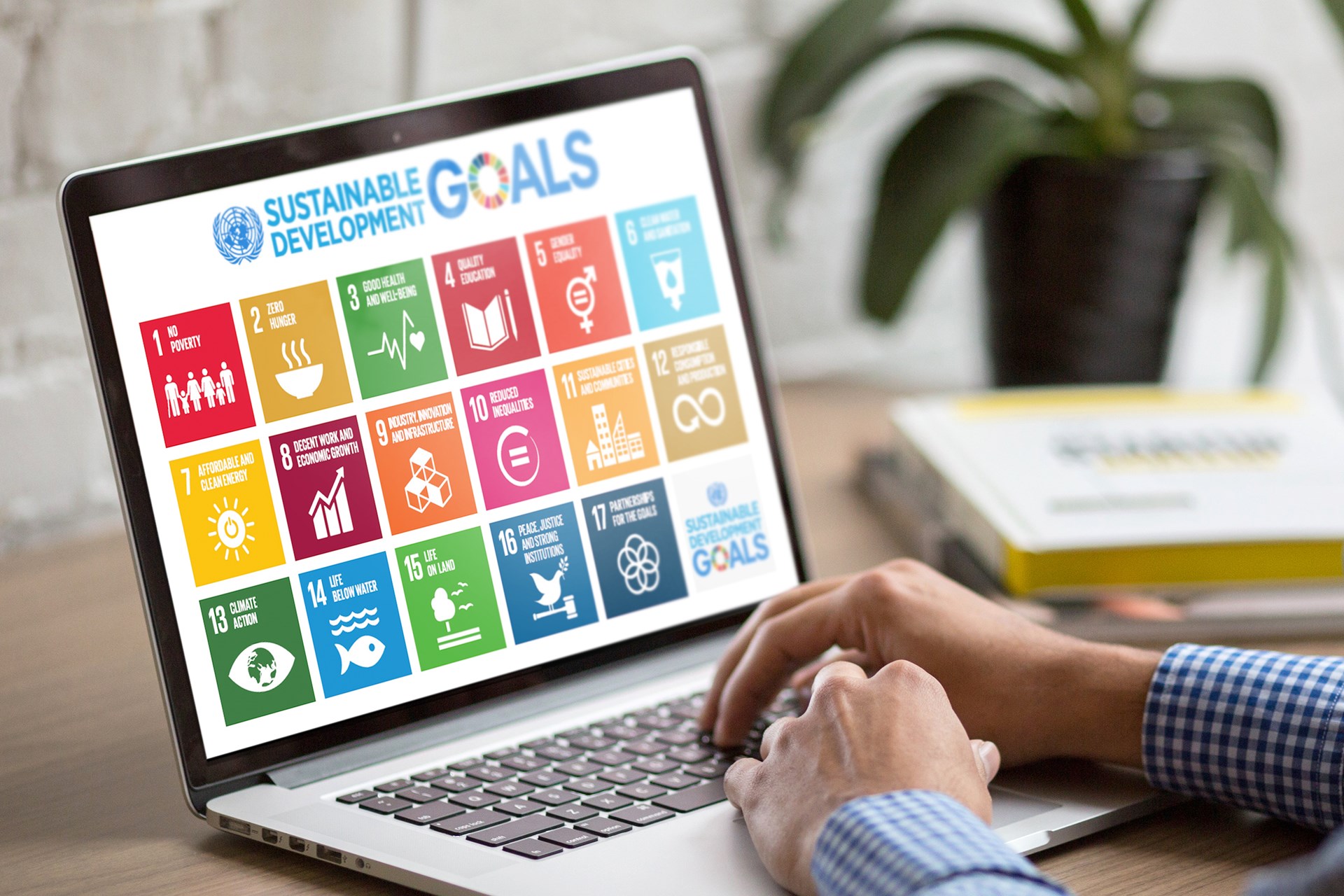 goals sustainability